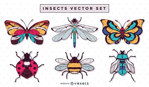Hand Drawn Insect Illustration Set Vector Download