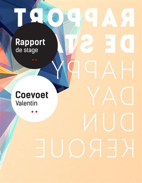 Rapport De Stage By Valentin Coevoet Issuu