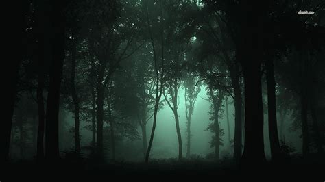 18292 Dark Foggy Forest 1366x768 Nature Wallpaper Foggy Forest