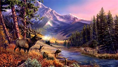 Rocky Mountain Elk Wallpapers Top Free Rocky Mountain Elk Backgrounds
