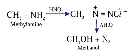 The Gas Evolved When Methylamine Reacts With Nitrous Acid Is