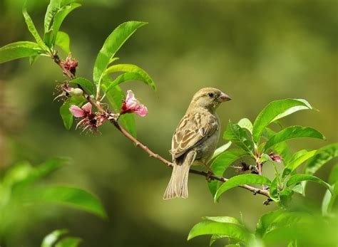 We did not find results for: Soal Ipa Kelas 6 Tentang Adaptasi Hewan - Prawira Soal