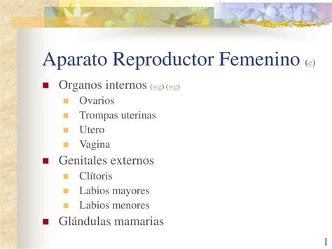 16 Organos Internos Del Aparato Reproductor Femenino  Lena
