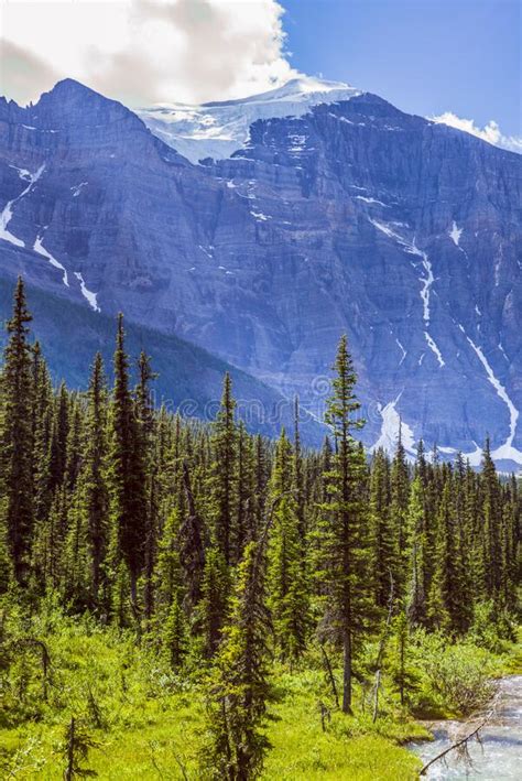 Hiking To Lake Annette In Banff National Park Passing Forests And