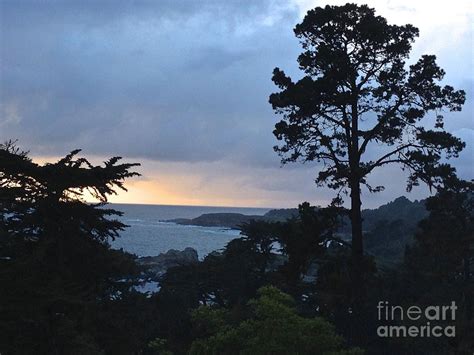 The Monterey Coast Photograph By Christy Gendalia