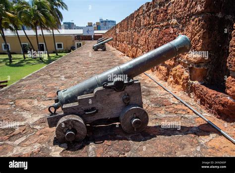 Bronze Cannons Used By The Portuguese Colonial Empire In The 19th