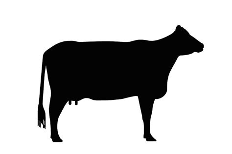Cow Silhouette As Sign Or Clipart By Naturaldigital Redbubble