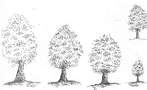 How To Draw A Tree With Pen And Ink Pen And Ink Drawings By Rahul Jain