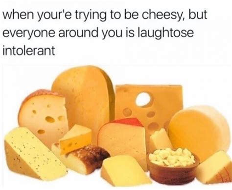 Lettuce meat for a date.. 10 Funny Cheese Jokes For People With A Sense of Humor ...