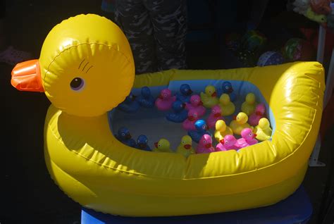 2560x1440 Wallpaper Yellow Duck Inflatable Pool With Assorted Rubber