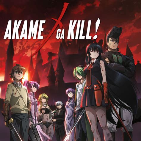 Anime Review Akame Ga Kill The Complete Collection Toonami Faithful