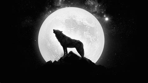 Sad Wolf Wallpapers Wallpaper Cave