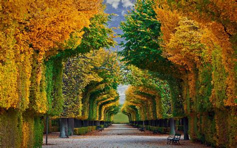 Schonbrunn Palace Gardens In Vienna Austria Hd Wallpaper Background Image 1920x1200 Id