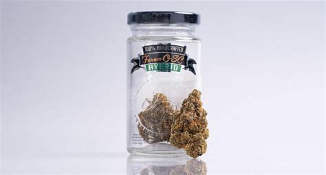 Forum Cookies Strain Cultivated By Kush Brothers • Lux Pot Shop