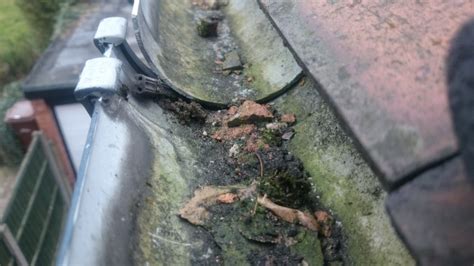 We did not find results for: Gutter Cleaning Do's and Don'ts - Gutter Cleaning Sheffield
