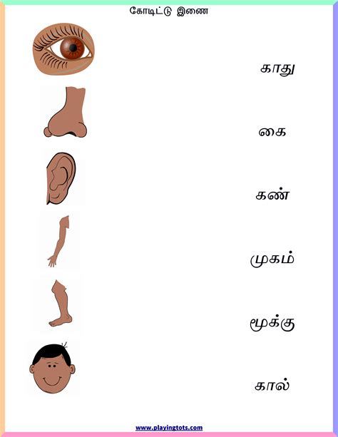 Learn useful names of human body parts in english with pictures and examples to improve and enhance your vocabulary words. உடல் பாகங்கள் - Free printable worksheet - Body parts in ...