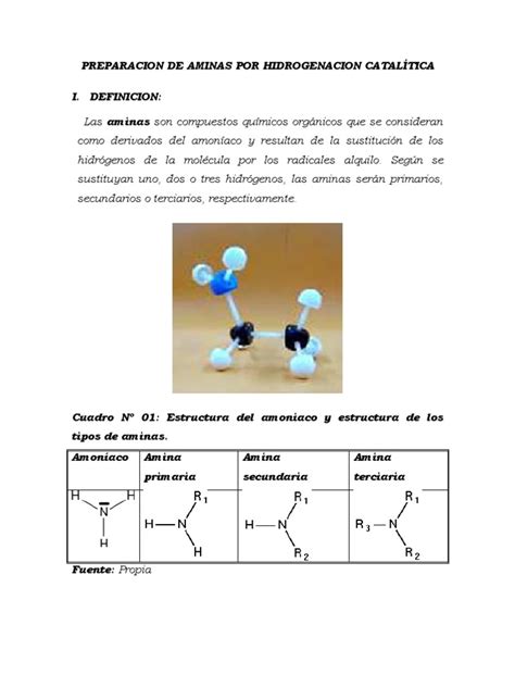 Preparacion De Aminas Por Hidrohenacion Catalítica Amina Hidrogenación