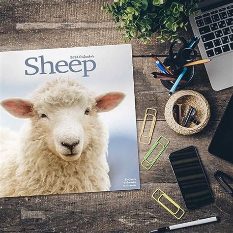 2023 2024 Sheep Calendar Cute Farm Animal Monthly Wall