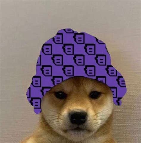 Pin By Lil Kozacz3kk On Pieseły In 2020 Hats Dogs Crochet Hats