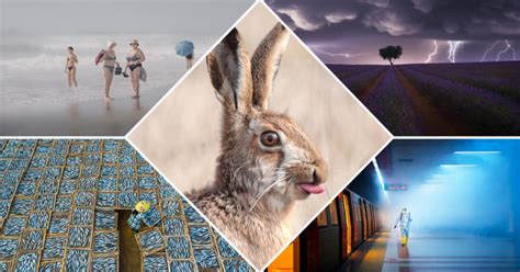 The Unbelievable Winners Of The Sony World Images Awards 2021