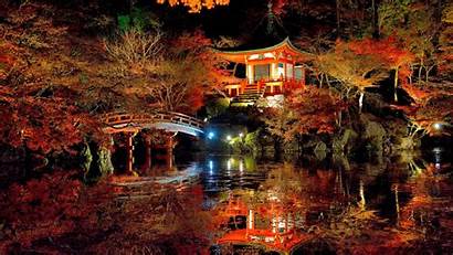 Fall Desktop Japan Night Nature Asian Forest
