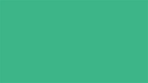 2560x1440 Mint Solid Color Background