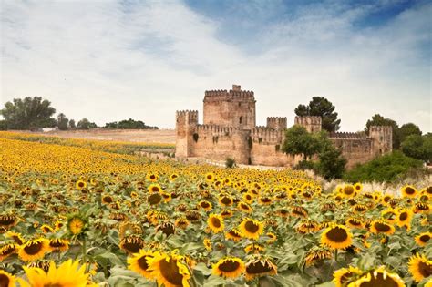 Most Romantic Spots In Spain Honeymoons By Weddingwire Travel Image