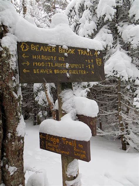 Hiking In The White Mountains Winter On The Moose Mount Moosilauke