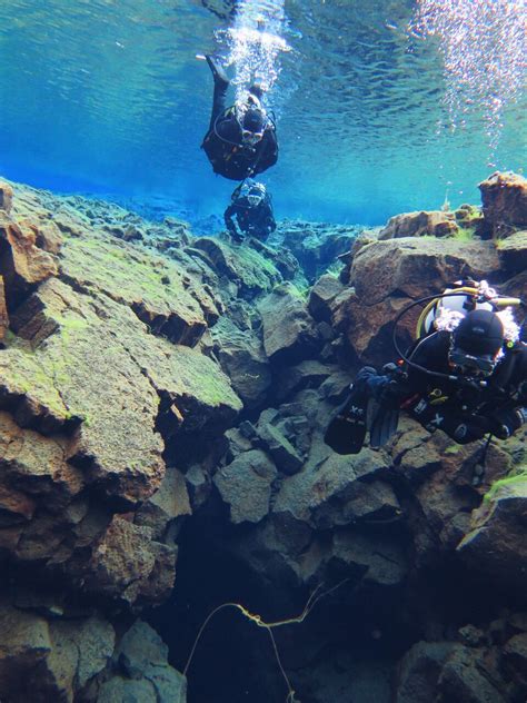 Two Scubas Are Swimming In The Water Near Some Rocks And Algae Growing