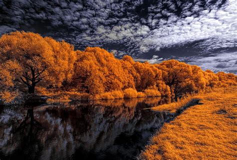Autumn Trees Under A Cloudy Sky Forest Autumn River Nature