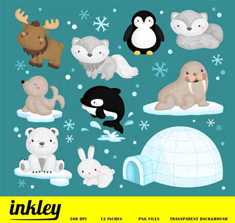 Ready To Use Arctic Animal Illustration And Clipart For Personal And