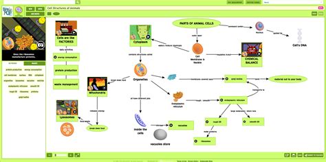 Cell Structures Concept Map Created With Make A Map Brainpop Educators