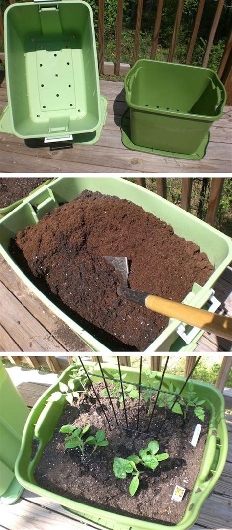 20 Insanely Clever Gardening Tips And Ideas With Pictures Organic