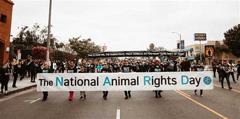 Everything You Need To Know About Animal Rights Activists