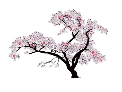 Cherry Blossom Bedroom Animation On Behance