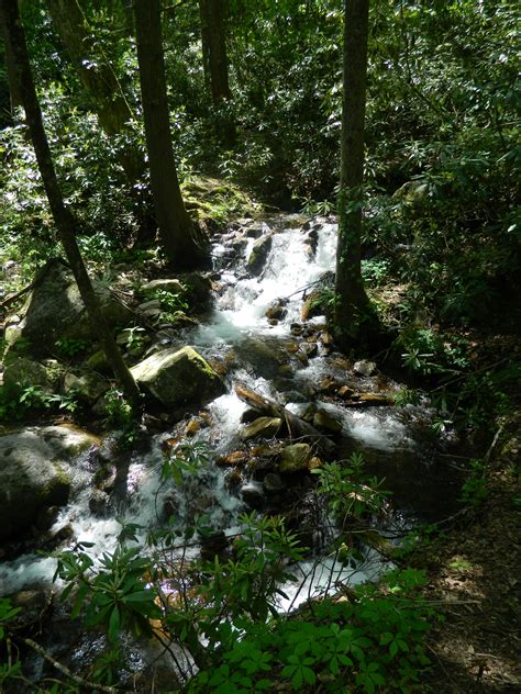 We did not find results for: Blue Hole Falls - Elizabethton, Tennessee | Blue hole ...