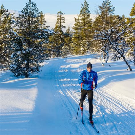 The Best Cross Country Skis Of