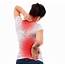 New Evidence For Back Pain Management  Yeronga Chiropractic And