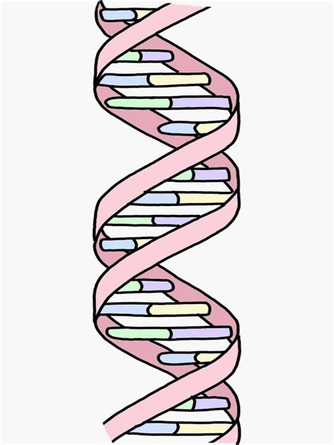 Pastel Dna Strand Sticker By Andilynnf Dna Drawing Dna Art Science