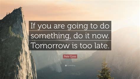Pete Goss Quote If You Are Going To Do Something Do It Now Tomorrow