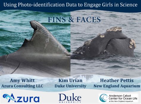 Presentation during 22nd Biennial Society for Marine Mammalogy