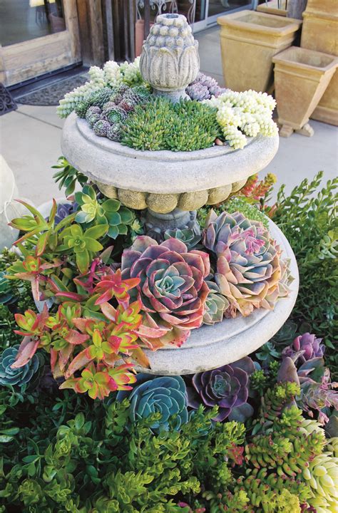 10 creative ways to make an enchanting succulent garden in your