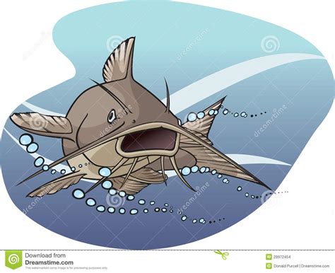 Catfish Stock Vector Illustration Of Marine Catfish 29972454