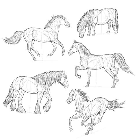 How To Draw A Horse Step By Step Realistic Easy