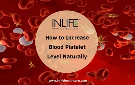 How To Increase Blood Platelet Level Naturally Inlifehealthcare