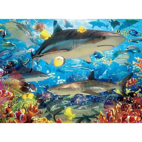 5d Diamond Painting Shiver Of Sharks And Mermaid Kit Bonanza Marketplace