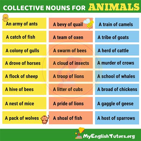 What is a collective noun. List of Common Collective Nouns for Animals in English ...