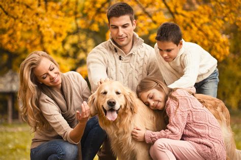 A List Of Dog Breeds That Are Good With Kids Know Whos The Best