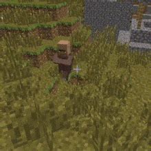 Villager Spin Villager Spin Minecraft Discover Share GIFs