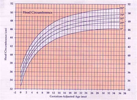 Premature Infant Girls Head Circumference Chart Lily And Claire~ Our